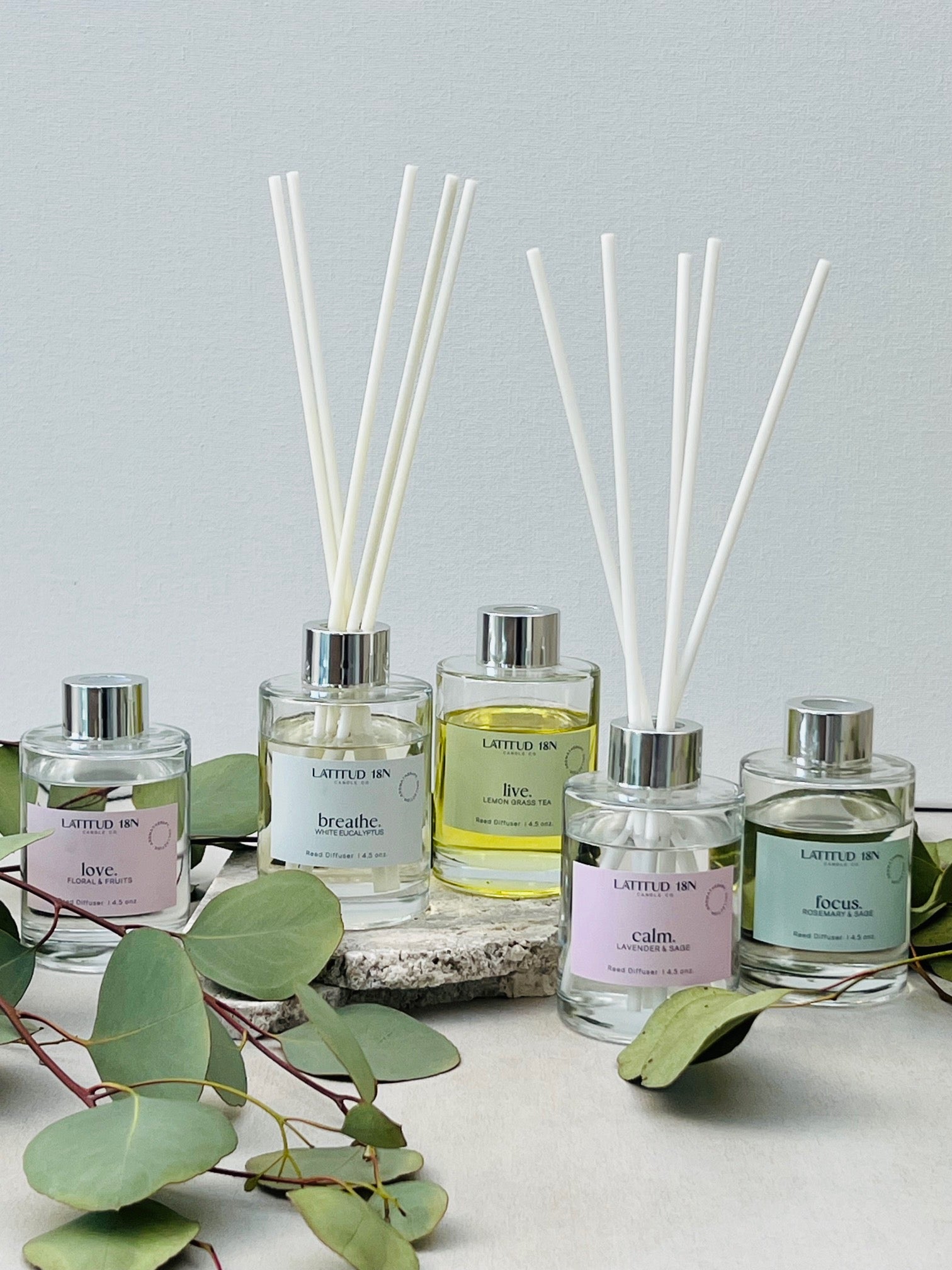 Traditional Scent Diffusers Aromatherapy Fragrance Diffusers – Latitud18n